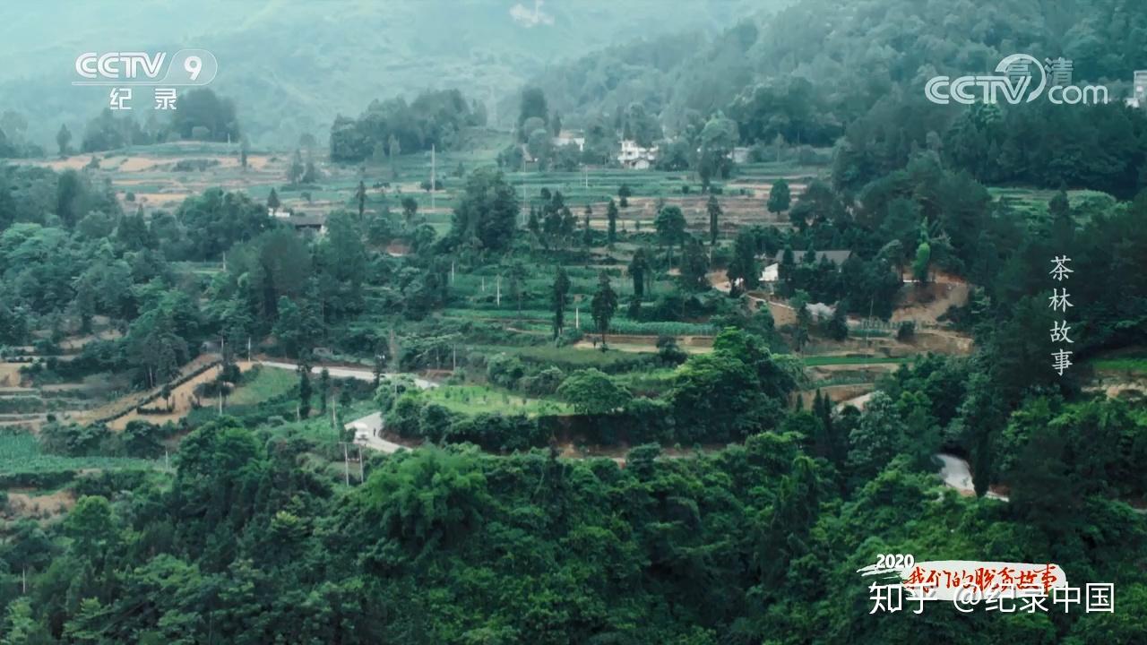 唐吉诃德式的人物茶林堡村杨直东