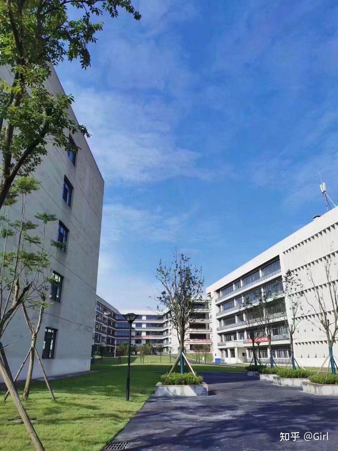 江阳城建这个学校怎么样