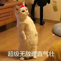 白粥(许魏洲的唯粉),护鲸团(黄景瑜的唯粉),和两个人的cp粉三方内斗的