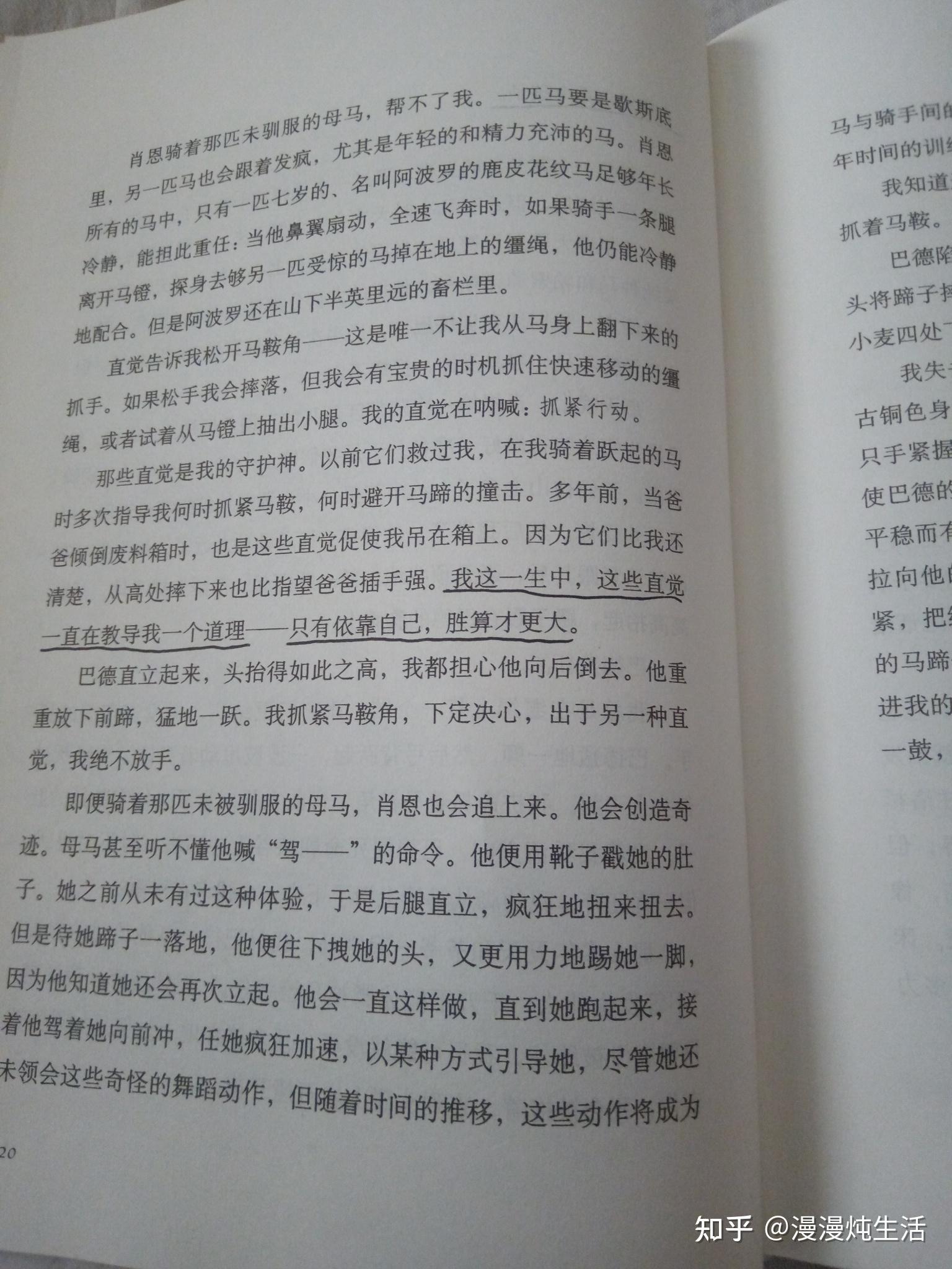 快乐啃书至天明