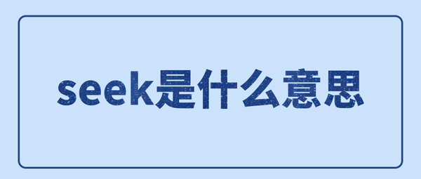 seek是什么意思