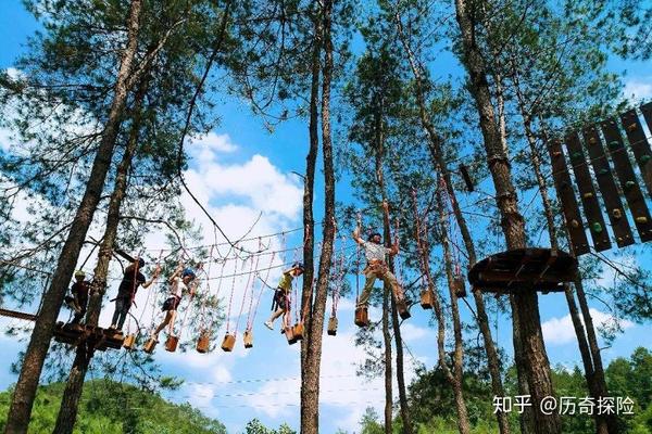 历奇探险 丛林穿越 盗版必究