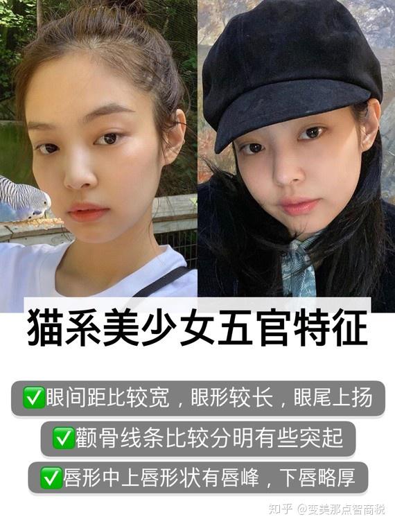 韩星jennie是典型的 猫系脸,先说一下猫系女孩的特征,如果有同样特征