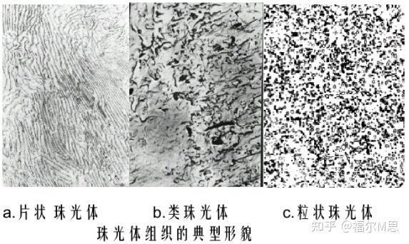 只有铁碳合金的共析组织叫珠光体吗,别的合金发生共析