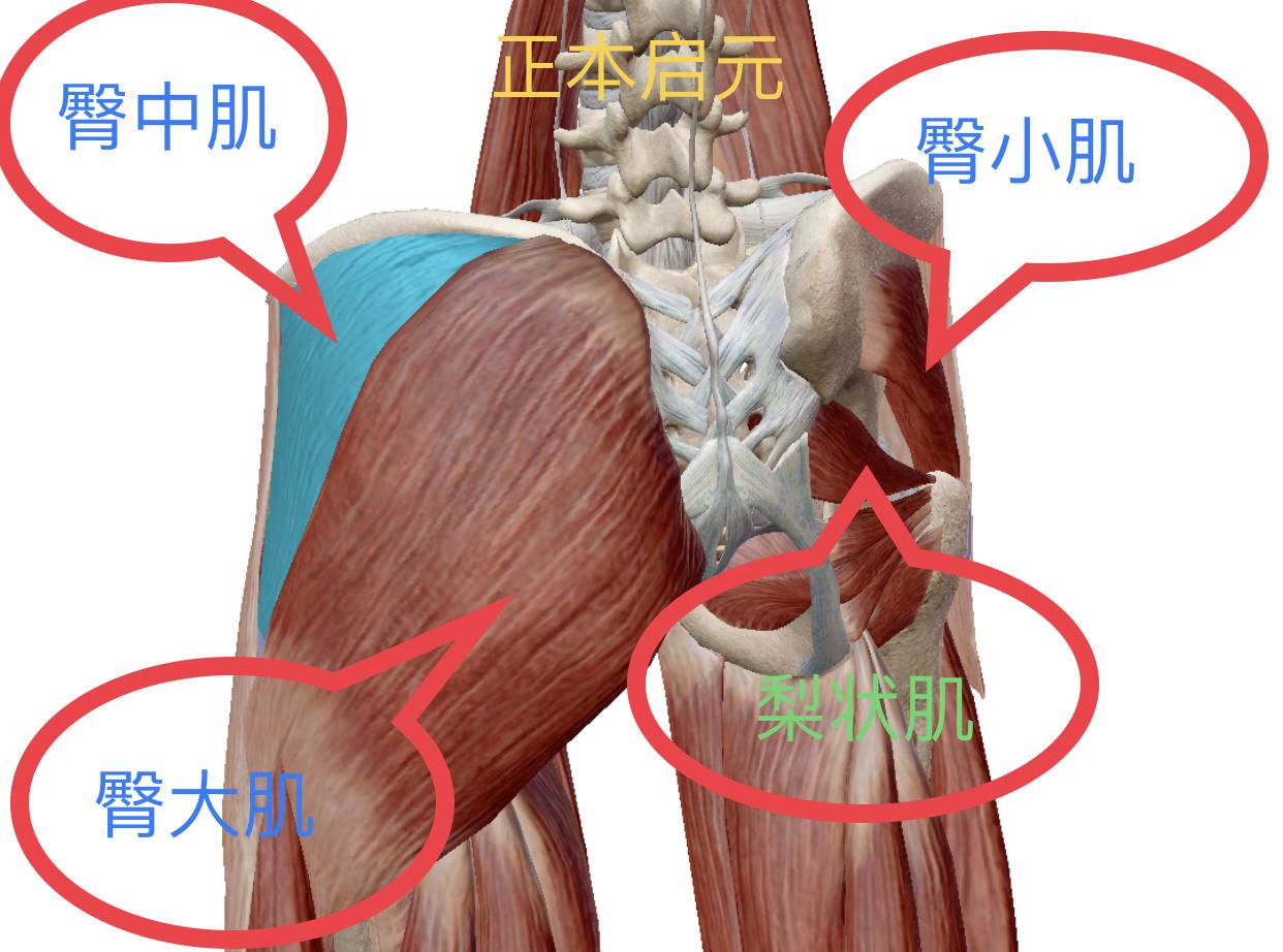 腰背痛锻炼方法髋关节功能评估与康复