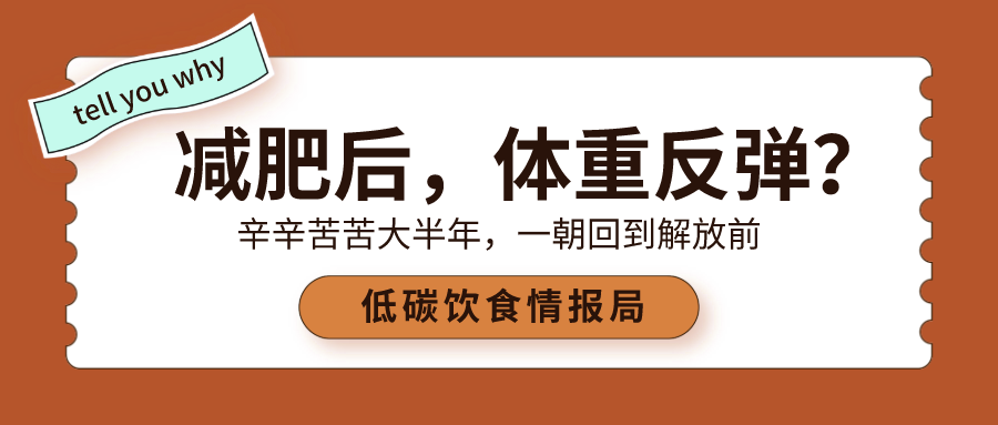 90的人减肥后体重反弹问题到底出在哪里