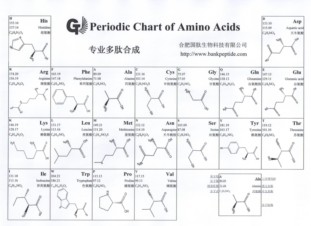 多肽序列中各种氨基酸英文缩写的含义