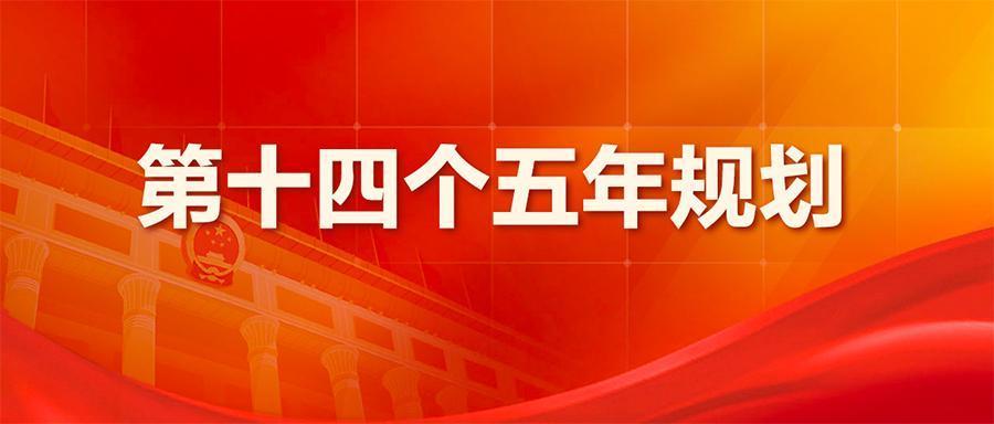 关于社会信用体系建设十四五规划纲要这样说
