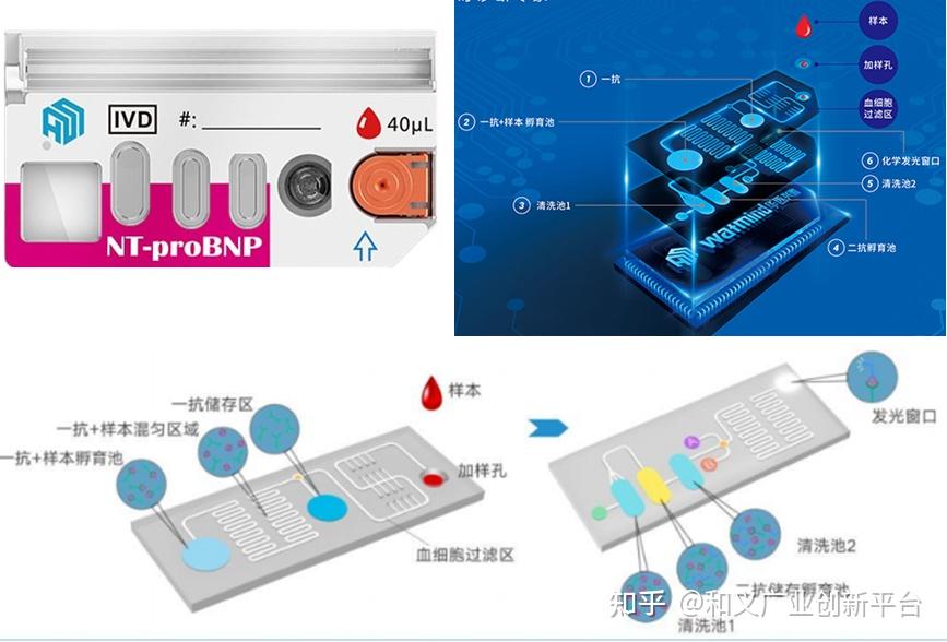 微流控3你真的了解微流控技术在不同领域中的应用吗 知乎