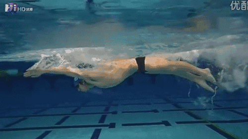 游泳技巧 | 蝶泳腿想打好,就凭提臀闪腰