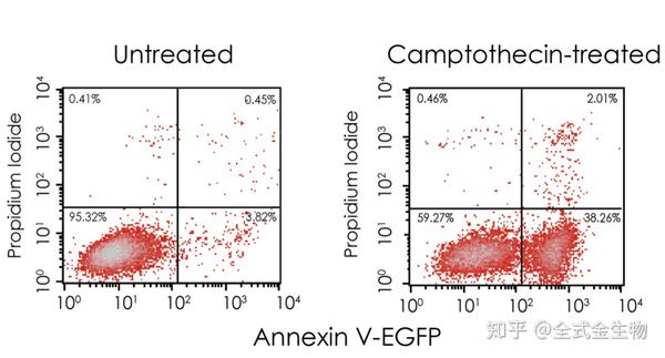 【细胞凋亡原创系列八】annexin v系列早期凋亡检测试剂盒大合集