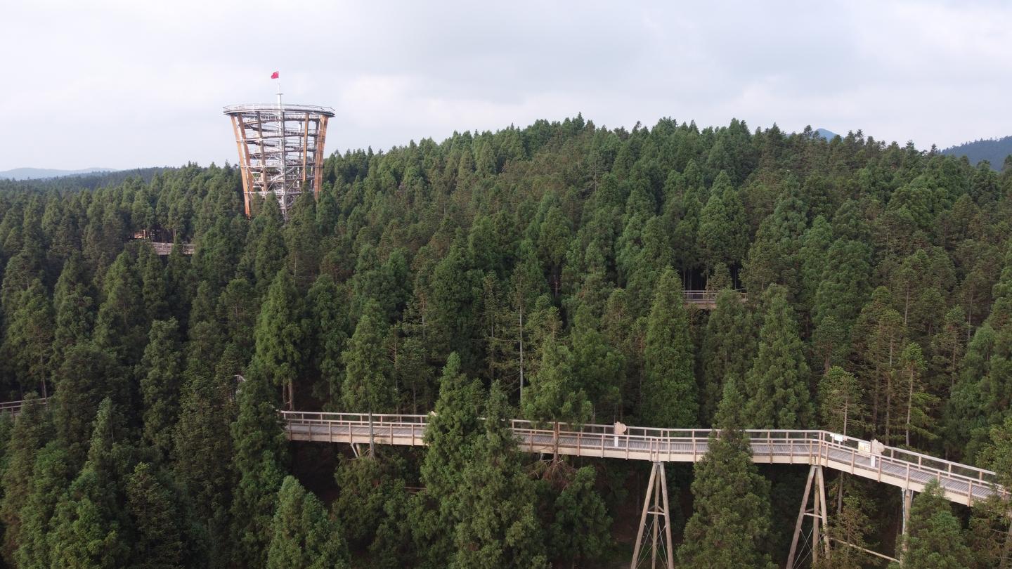 树顶漫步仙女山自然教育营地项目介绍