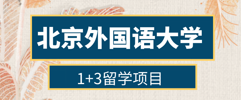 直通国外名校北京外国语大学13留学项目