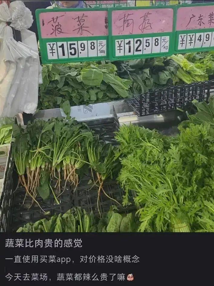 在同一个超市, 出现了一斤菠菜的钱 可以买两斤猪肉或三斤鸡肉的情况