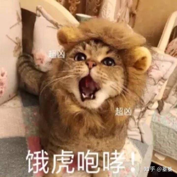 恶狠狠 知乎