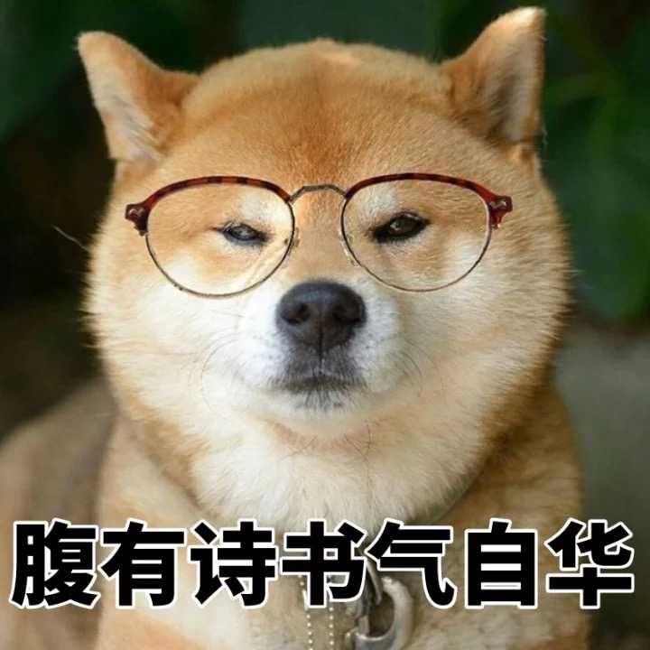 收藏在知乎拿出的表情?系列信图表情包字微无图片