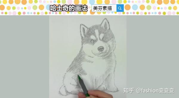 初学素描如何画可爱小动物素描哈士奇小狗的画法步骤