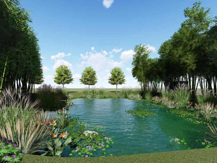 提升水质建景观灯乡村池塘变身为美丽风景线