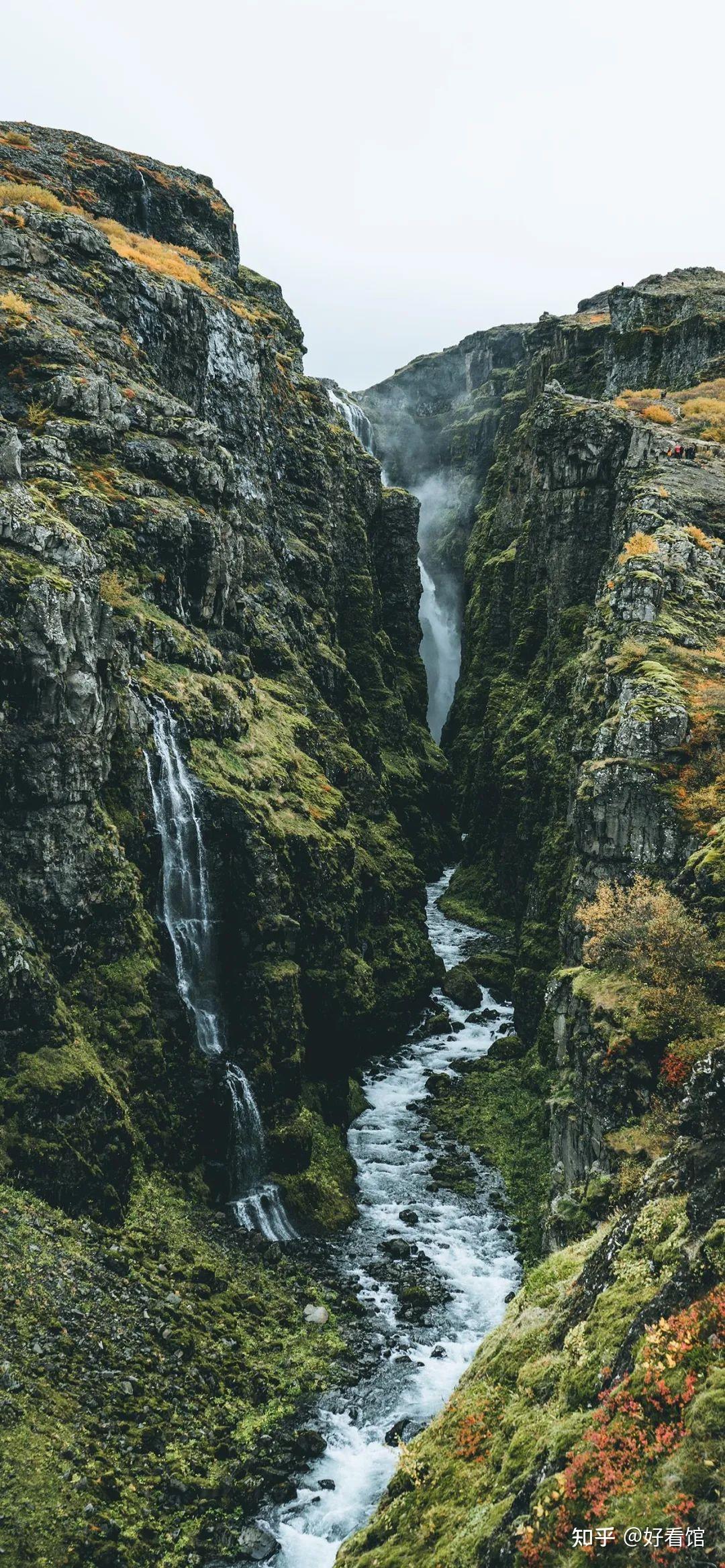 森林壁纸|大自然绿色森林壁纸|森林风景壁纸|唯美图片