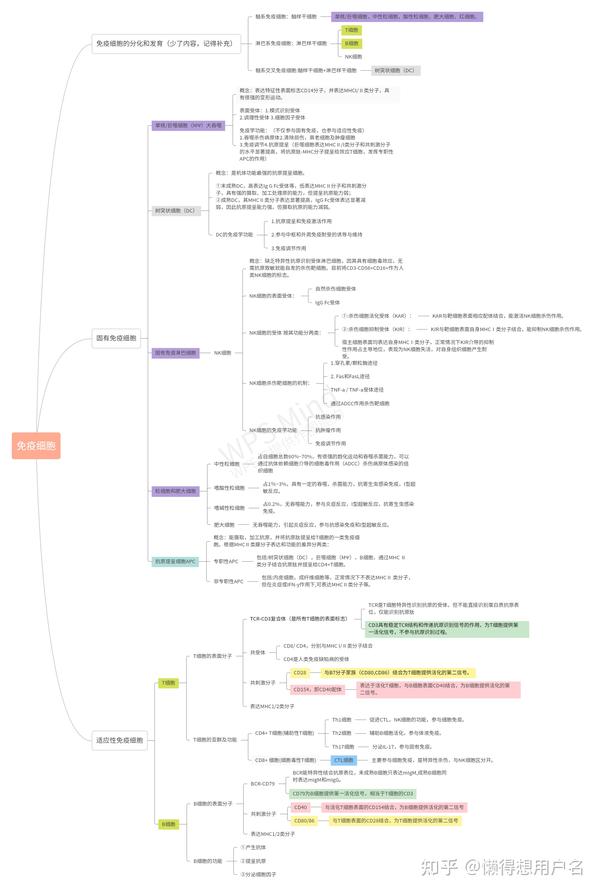 医学免疫学思维导图