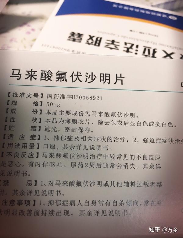 重度抑郁症患者真的可以掩饰自己到与正常人无异吗?