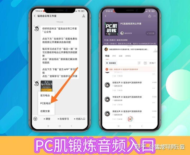 pc肌在哪里怎么练习pc肌