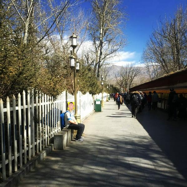 这个冬天,去拉萨晒太阳