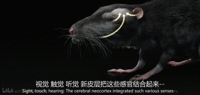 v2 0b1bc040e8a4bb8508647470f8a6b230 720w