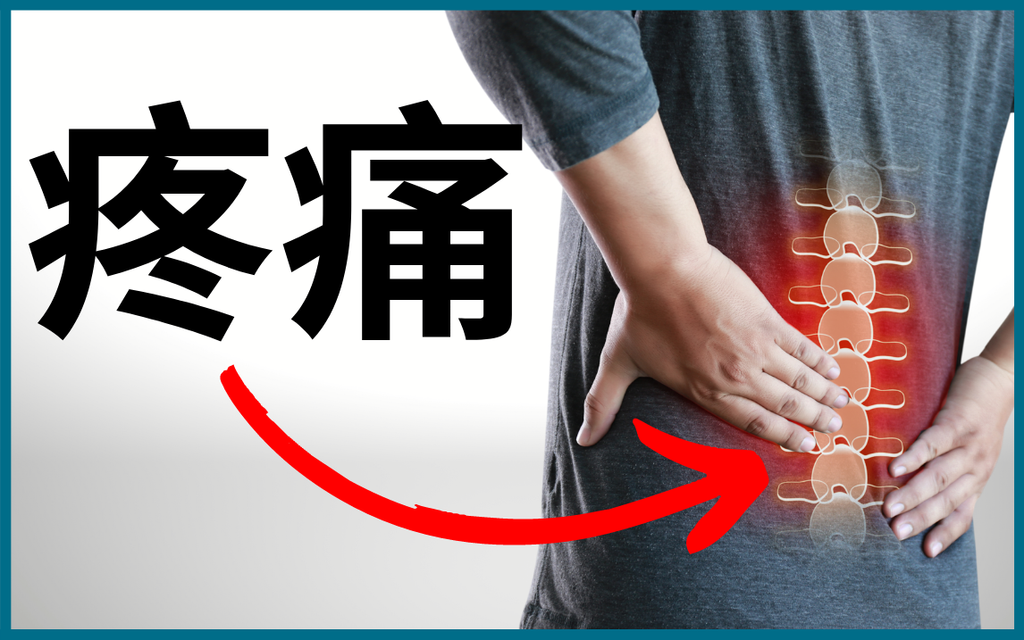腰酸背痛怎么办如何缓解疼痛骨盆前倾ep03