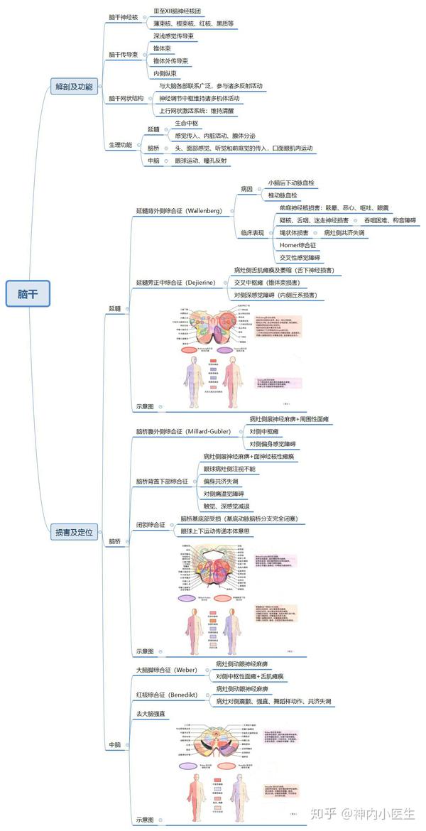 账号一直无法登录,也无法恢复,今天终于可以登录,先把神经病学思维导