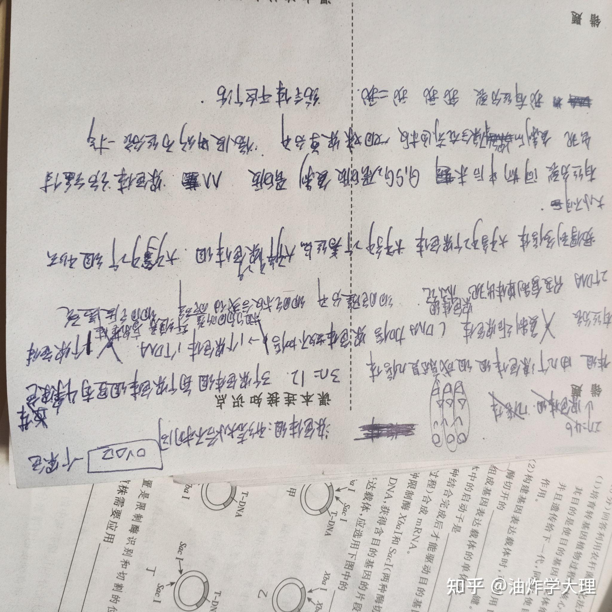 此无题祝君飞康臭显可滑