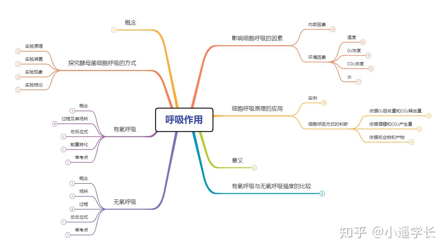 高中生物必修一呼吸作用和光合作用怎么学