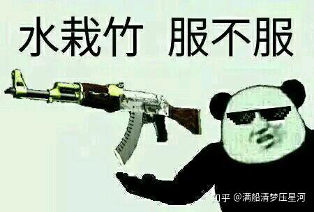 有什么csgo皮肤表情包啊?