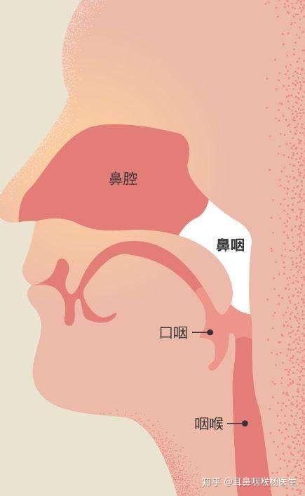 鼻咽癌早期症状都有哪些?