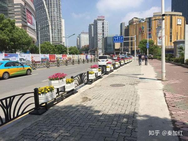 人行道绿化