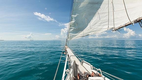 10月出海30强新面孔凶猛关注细分领域的胜利