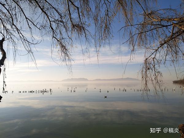 眉目舒展,顺颂冬安
