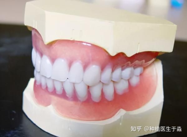 牙齿的大小,形态正常,排列整齐.