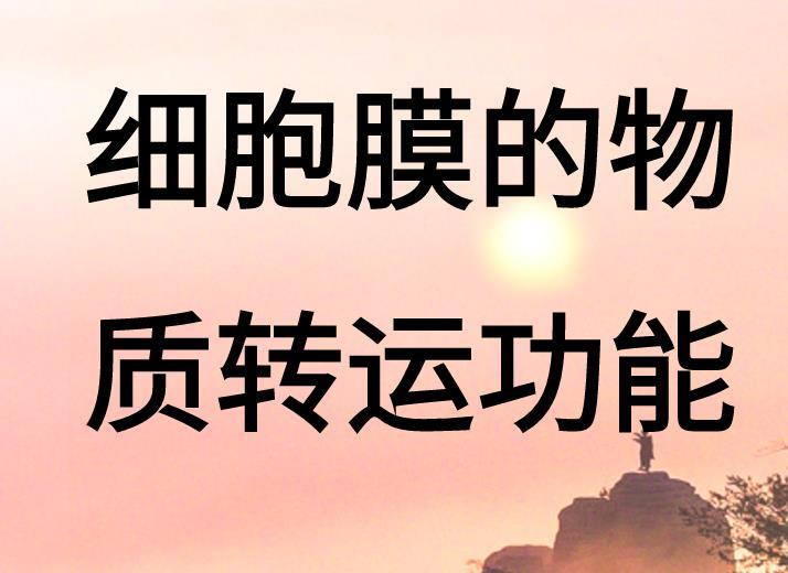 今日分享细胞膜的物质转运功能