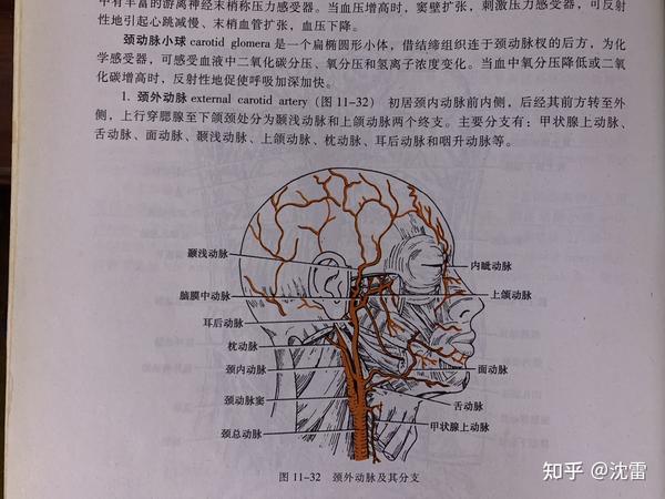 甲状腺上动脉或咽升动脉?