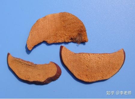 "光皮木瓜"药材饮片(图片来自网络)