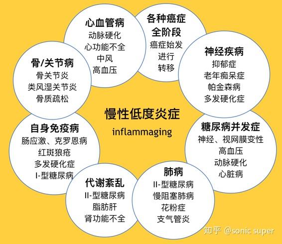 难逃的衰老·炎症篇(慢性炎症可促衰/致病)