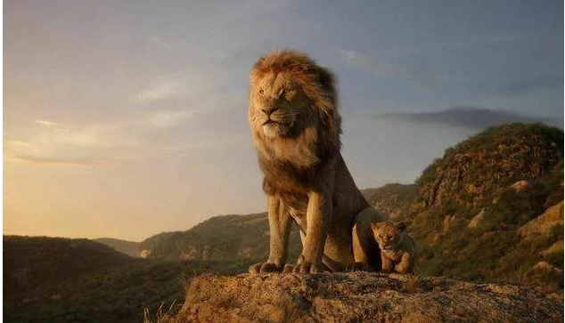 狮子王受伤的小狮子你可以暂时躲起来疗伤但请一定要记得回来守护你的