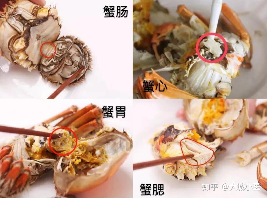 螃蟹哪些部位不能吃?死了的螃蟹能不能吃?