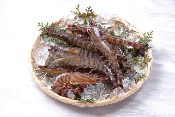 【食谱】吃虾为什么要吃斑节虾?看了你就明白了!