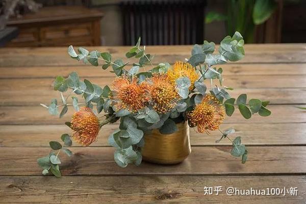 尤加利的果子也像叶子一样自带浓淡不一青灰色调,插一把在玻璃瓶,自成