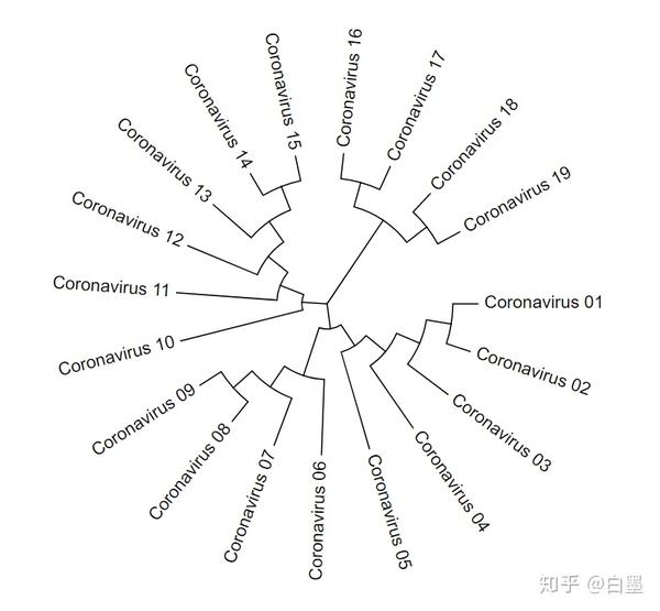 一文读懂进化树(图文详解)
