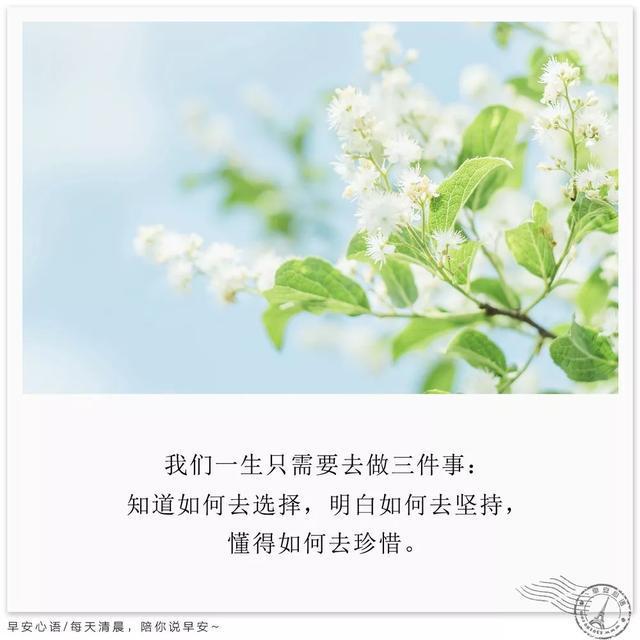 每日励志早安心语 早安励志图片带字唯美