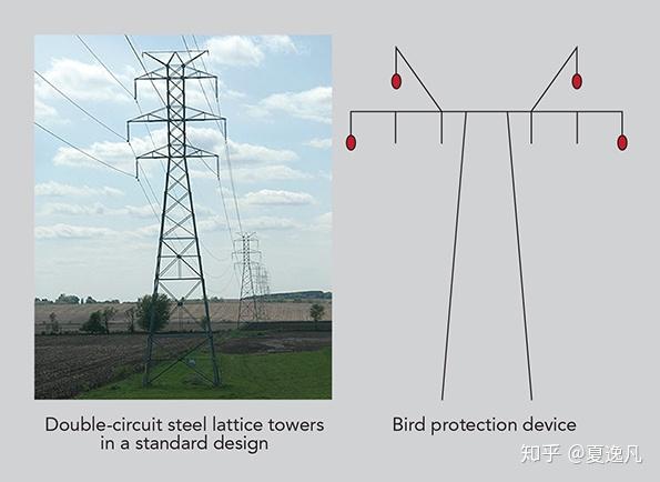 特殊设计的同塔双回输电塔,预留了悬挂驱鸟器的位置