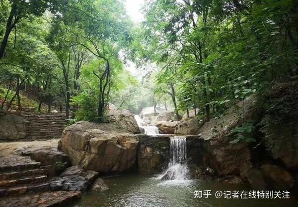 森林覆盖率在95%以上 国家森林公园 国家aaaa级旅游景区 距离舞钢市区